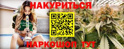 прущие грибы Апшеронск