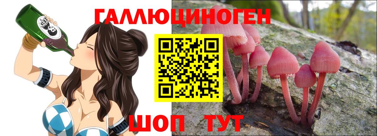 Галлюциногенные грибы MAGIC MUSHROOMS Бийск