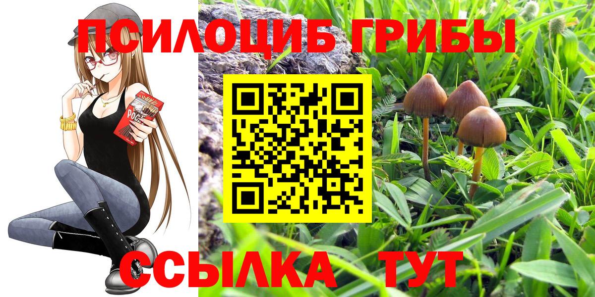 купить  сайты  Псилоцибиновые грибы мицелий  Бийск  Вход с VPN  Псилоцибиновые грибы Psilocybine cubensis 